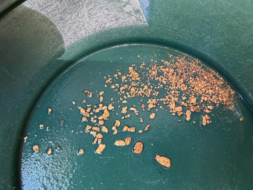 Klamath Gold in Green Pan